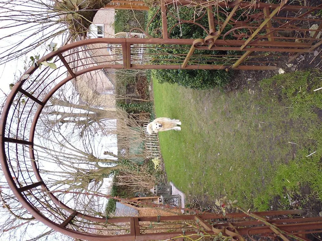 B&B De Vijf Zuilen Bruges